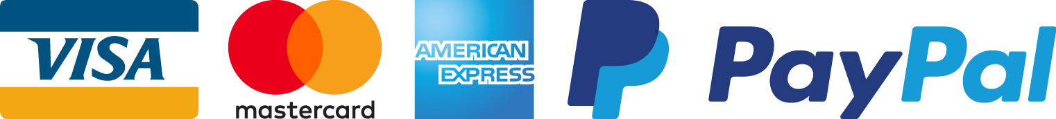 Paga tu viaje a New York con Visa, Mastercard, American Express, PayPal y transferencia bancaria Paga tu viaje a New York con Visa, Mastercard, American Express, PayPal y transferencia bancaria