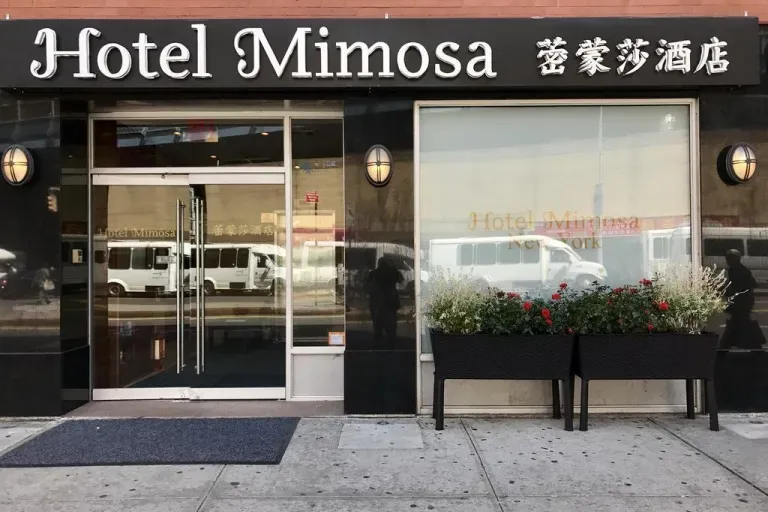 Mimosa